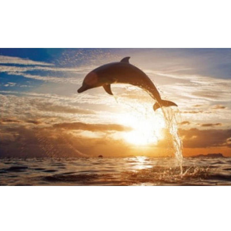 Ταπετσαρία με Τοπίο δελφίνι